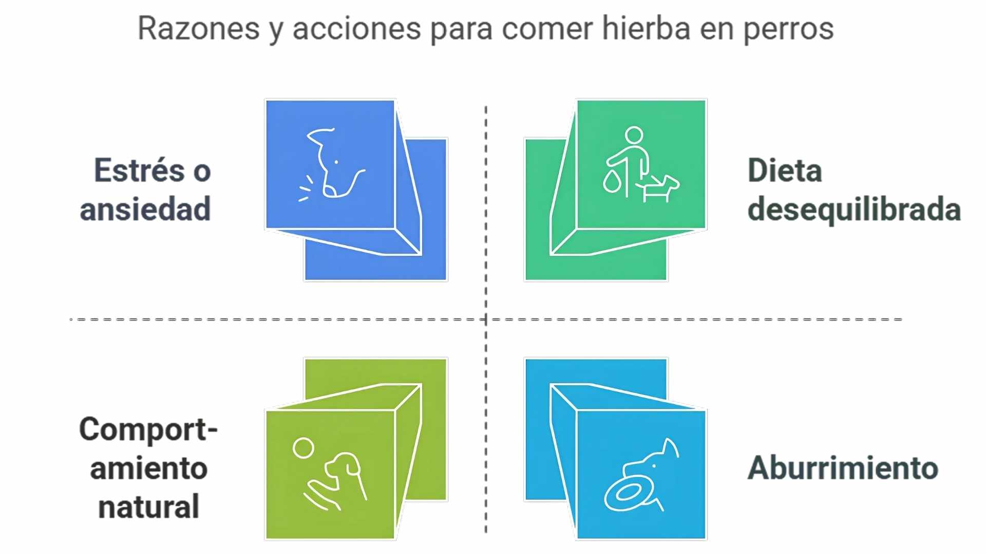 porque los perros comen hierba